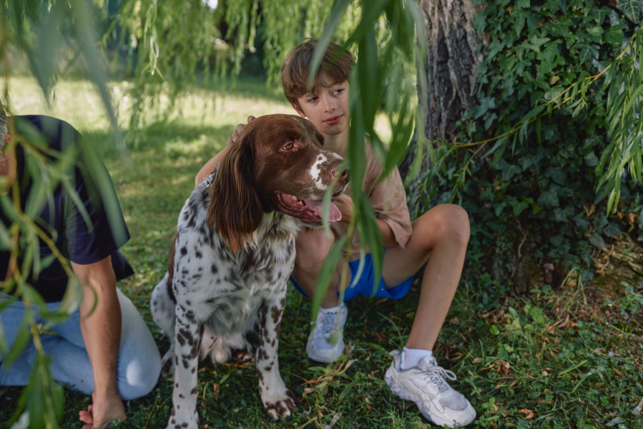 Vacaciones felices con mascotas sanas